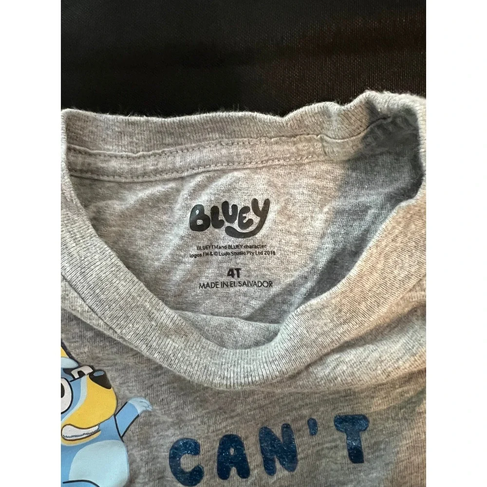 Bluey Cant Stop Dancing Long Sleeve Graphic T-Shirt Heather Gray Kids Size 4T